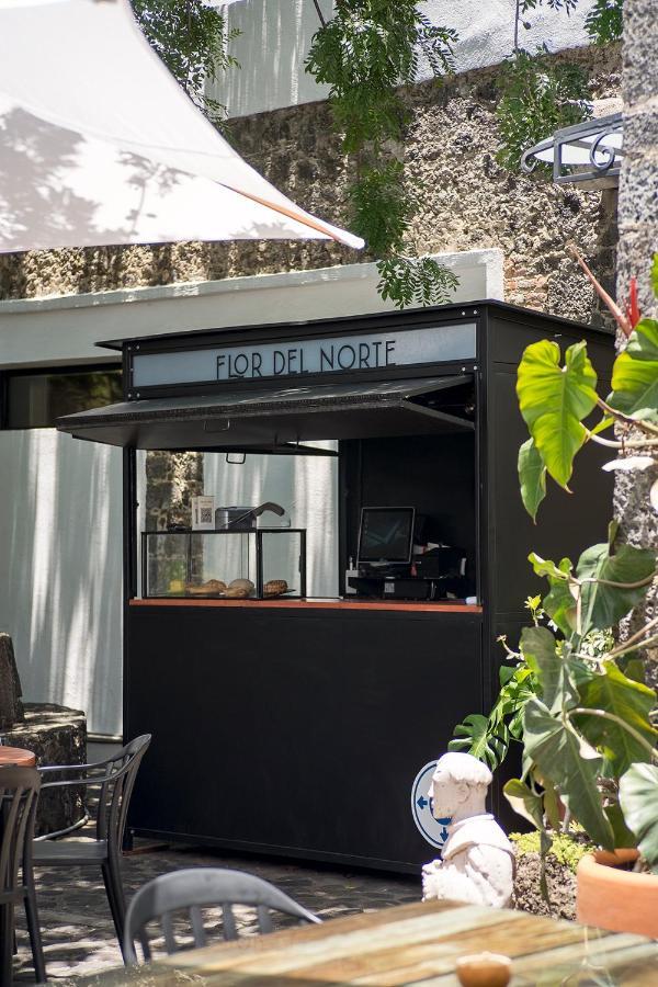 Hotel Boutique Casa Fernanda (Adults Only) テポストラン エクステリア 写真