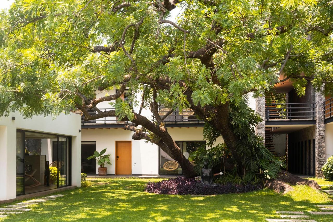 Hotel Boutique Casa Fernanda (Adults Only) テポストラン エクステリア 写真