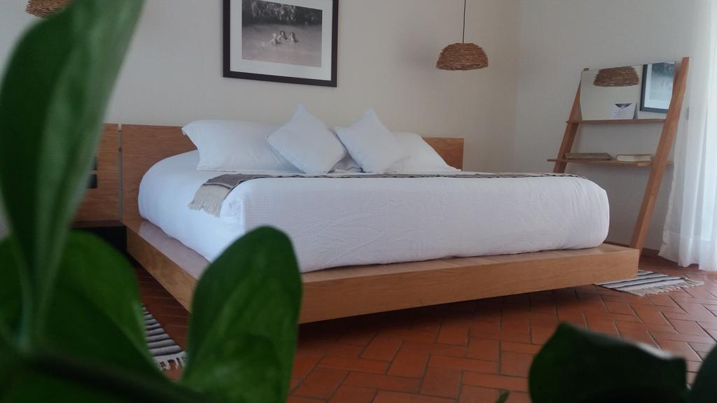 Hotel Boutique Casa Fernanda (Adults Only) テポストラン エクステリア 写真